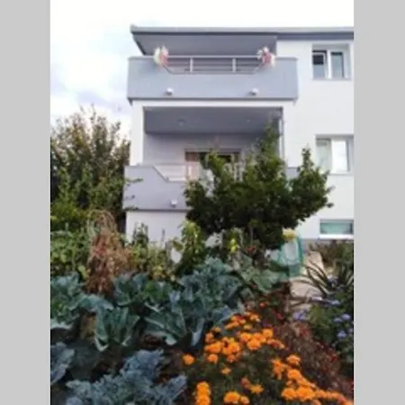 Family House Nino *